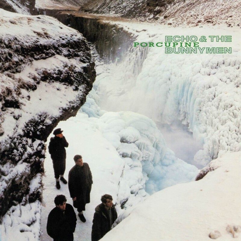 Porcupine (1LP Black)