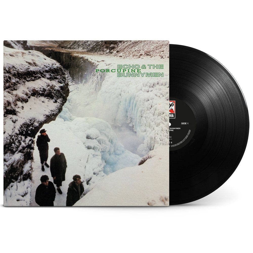 Porcupine (1LP Black)