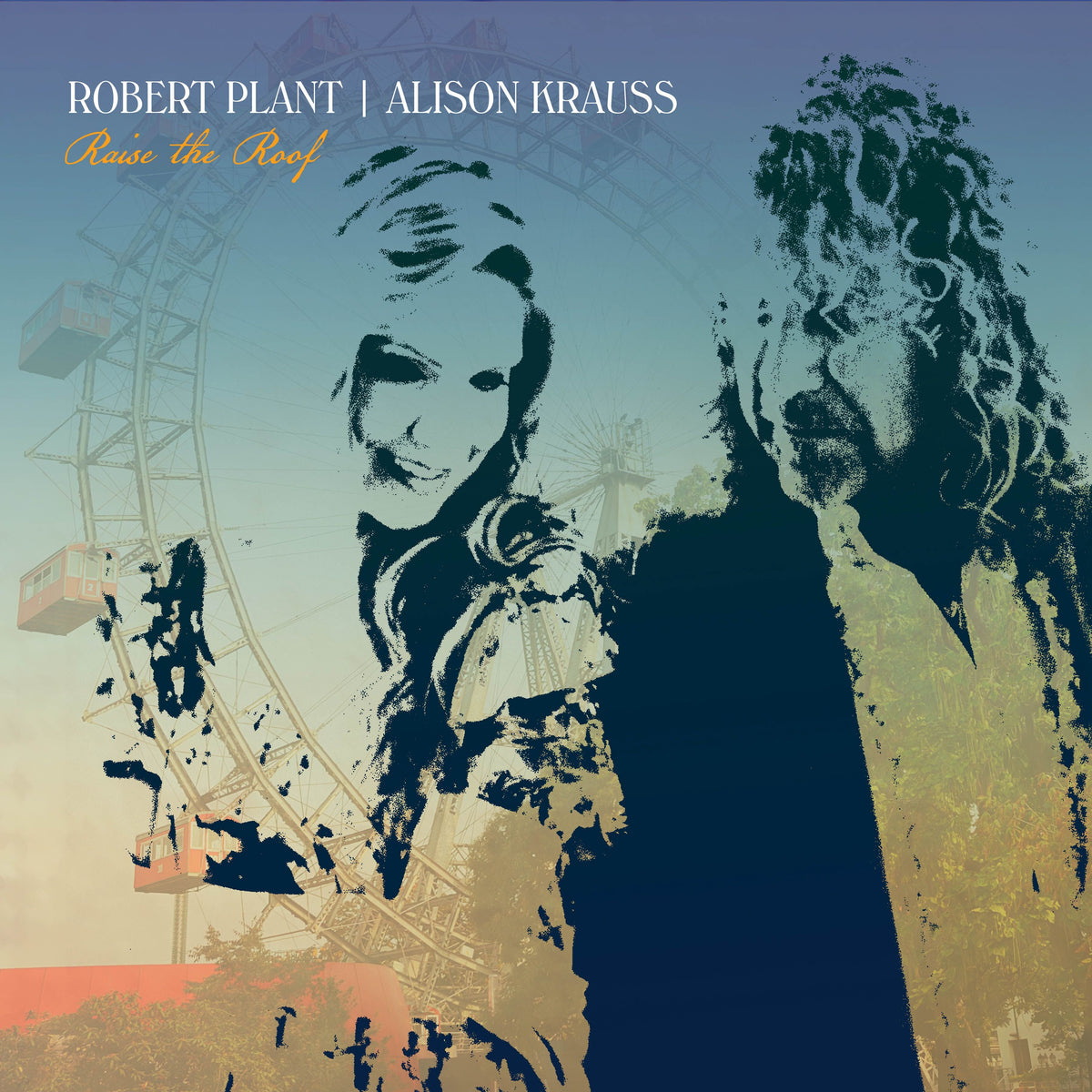 Raise The Roof (2LP Black)